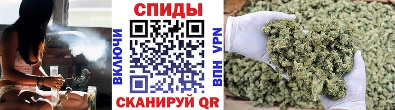 omg рабочий сайт  Дедовск  Бутират буратино 
