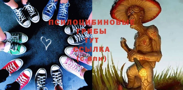 круглые Гусиноозёрск