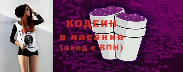 ПСИЛОЦИБИНОВЫЕ ГРИБЫ Гусев
