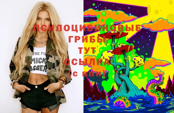 mix Горняк