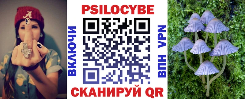 omg зеркало  Дедовск  Псилоцибиновые грибы Cubensis  наркота 